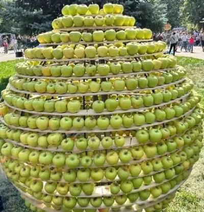 حضور غرفه ایران در جشنواره آلما فست شهر آلماتی